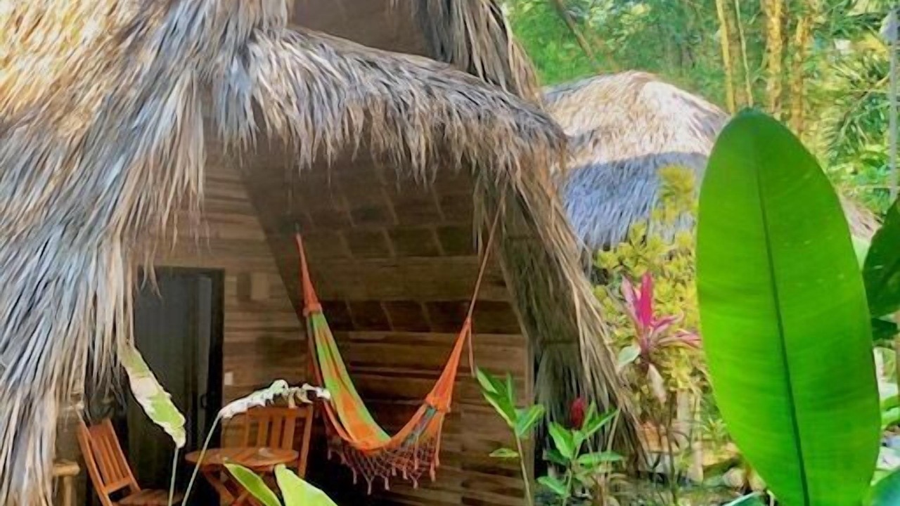 Photo of Outdoor in Playa Santa Teresa