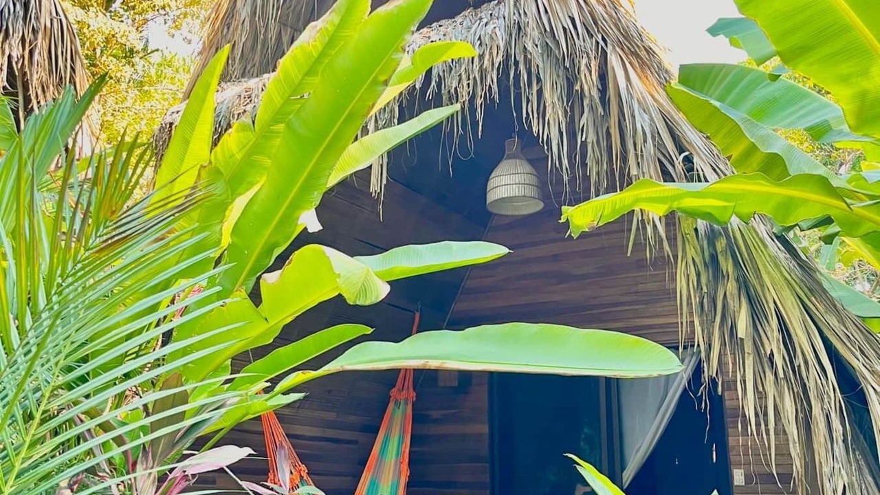 Photo of Outdoor in Playa Santa Teresa