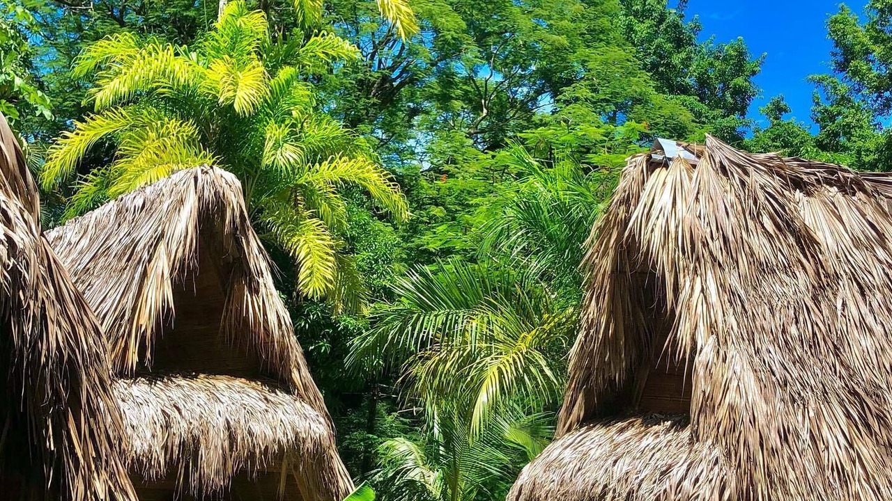 Photo of Outdoor in Playa Santa Teresa