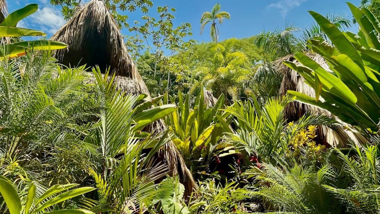 Photo of Outdoor in Playa Santa Teresa