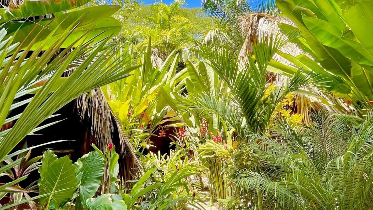 Photo of Outdoor in Playa Santa Teresa
