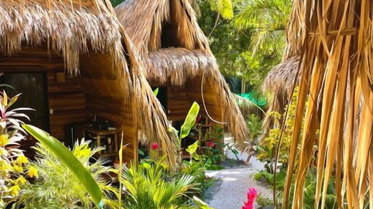 Photo of Outdoor in Playa Santa Teresa