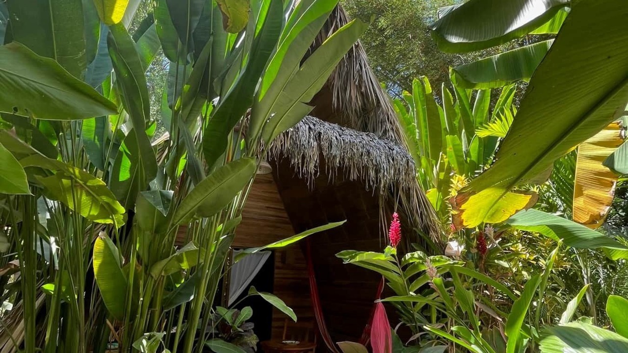 Photo of Outdoor in Playa Santa Teresa