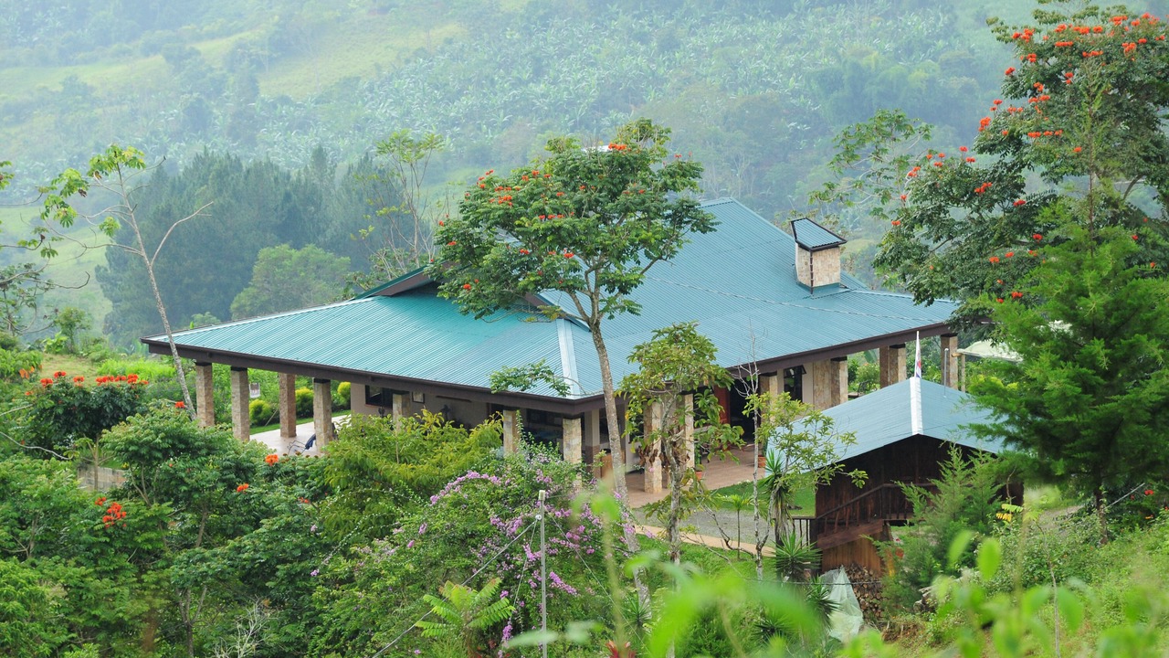 Photo of Outdoor in Paramo