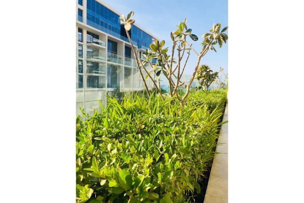 Photo of Outdoor in Abu Dhabi