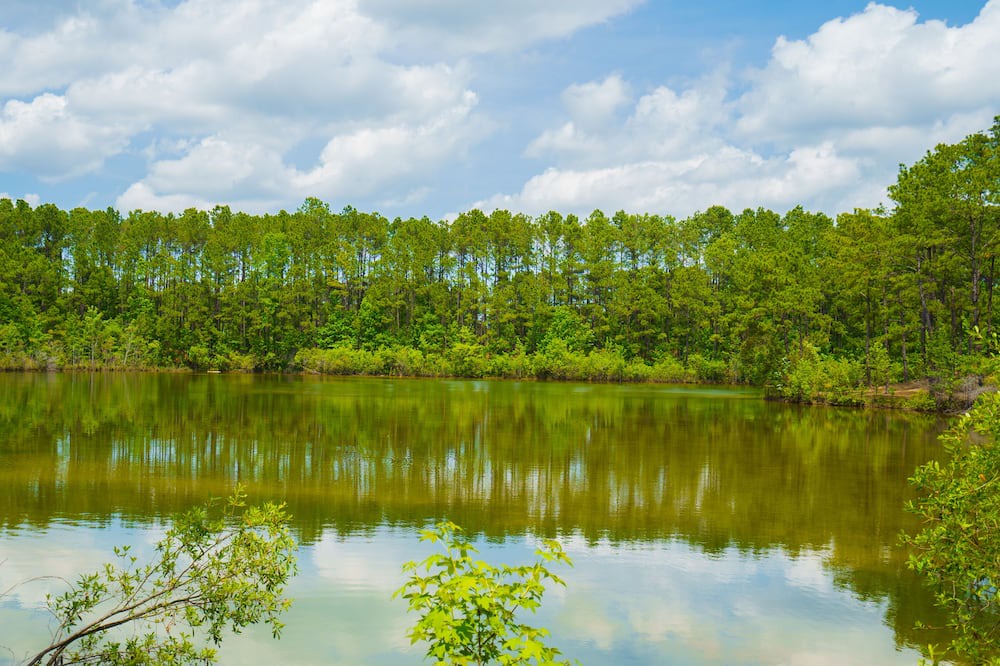 Photo of Outdoor in Socastee