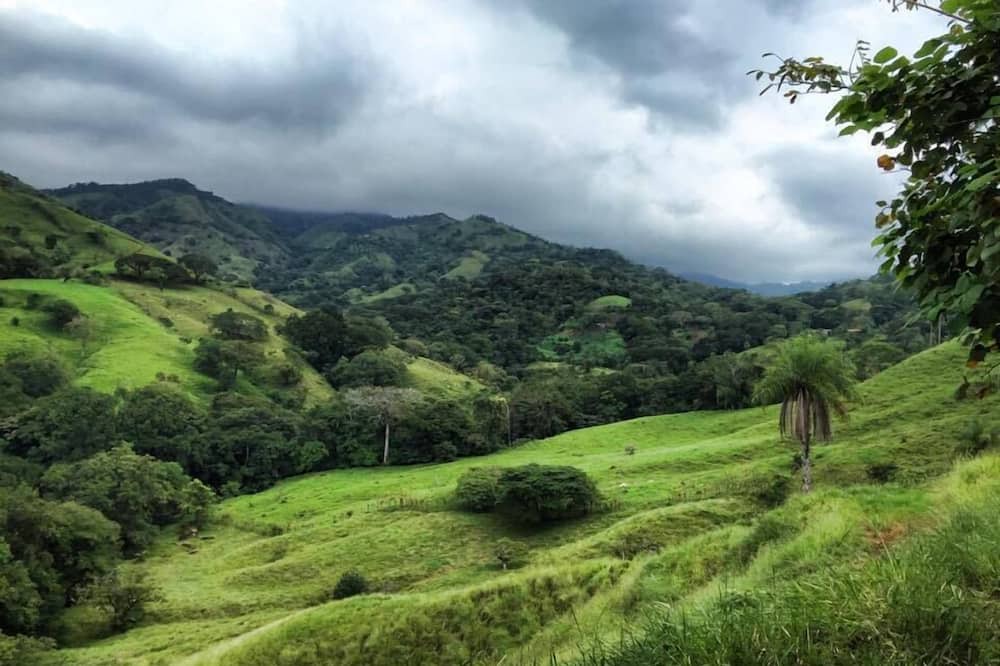 Photo of Outdoor in Javilla
