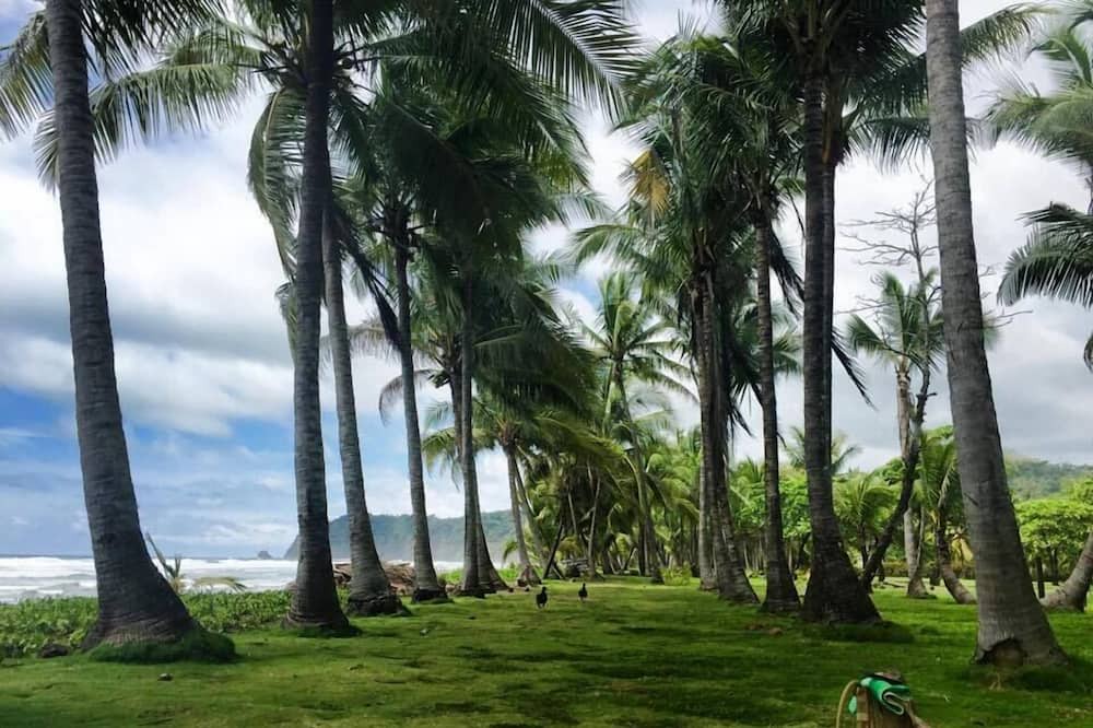 Photo of Outdoor in Javilla