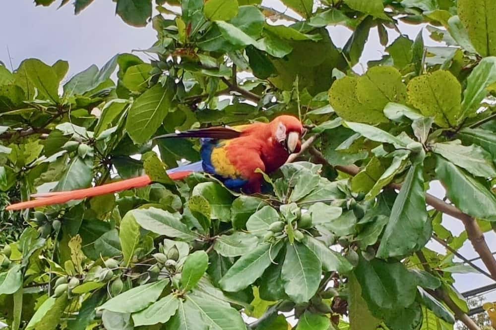 Photo of Outdoor in Drake Bay