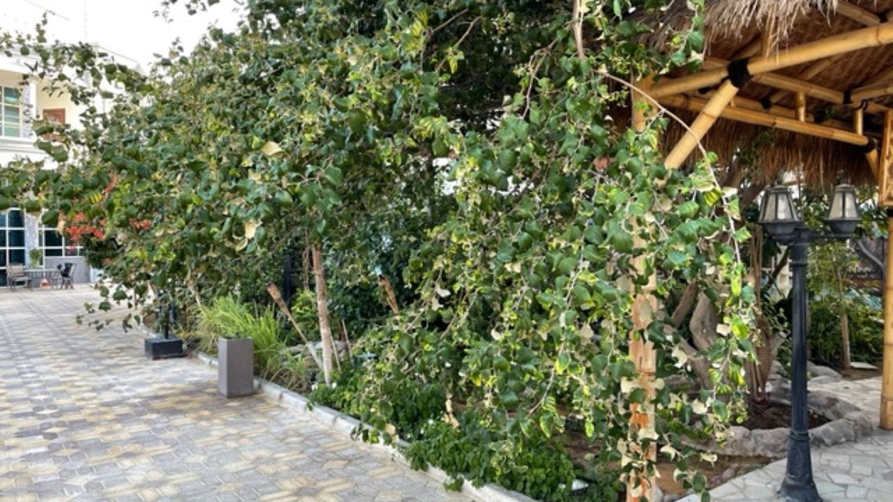 Photo of Outdoor in Abu Dhabi