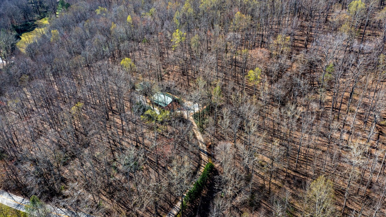 Photo of Others in Tigerville