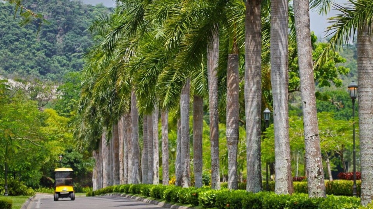 Photo of Outdoor in Herradura