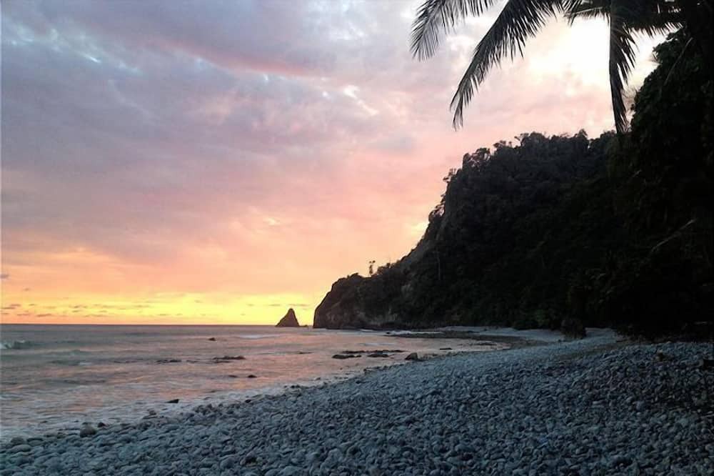 Photo of Others in Cabo Matapalo
