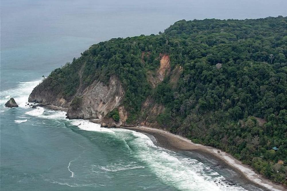 Photo of Others in Cabo Matapalo