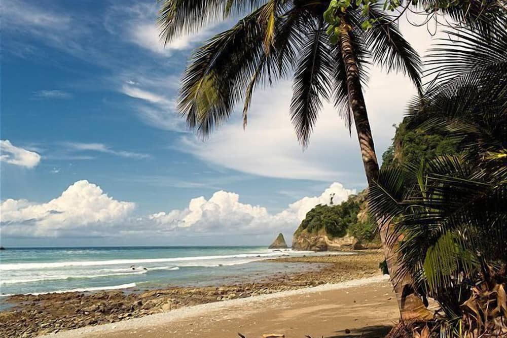 Photo of Others in Cabo Matapalo