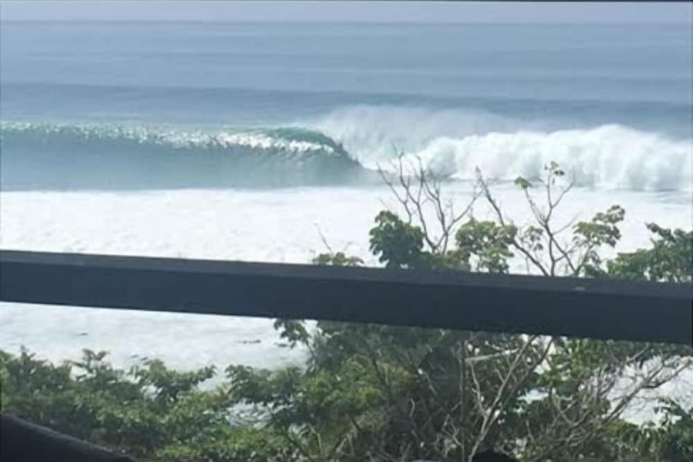 Photo of Others in Cabo Matapalo