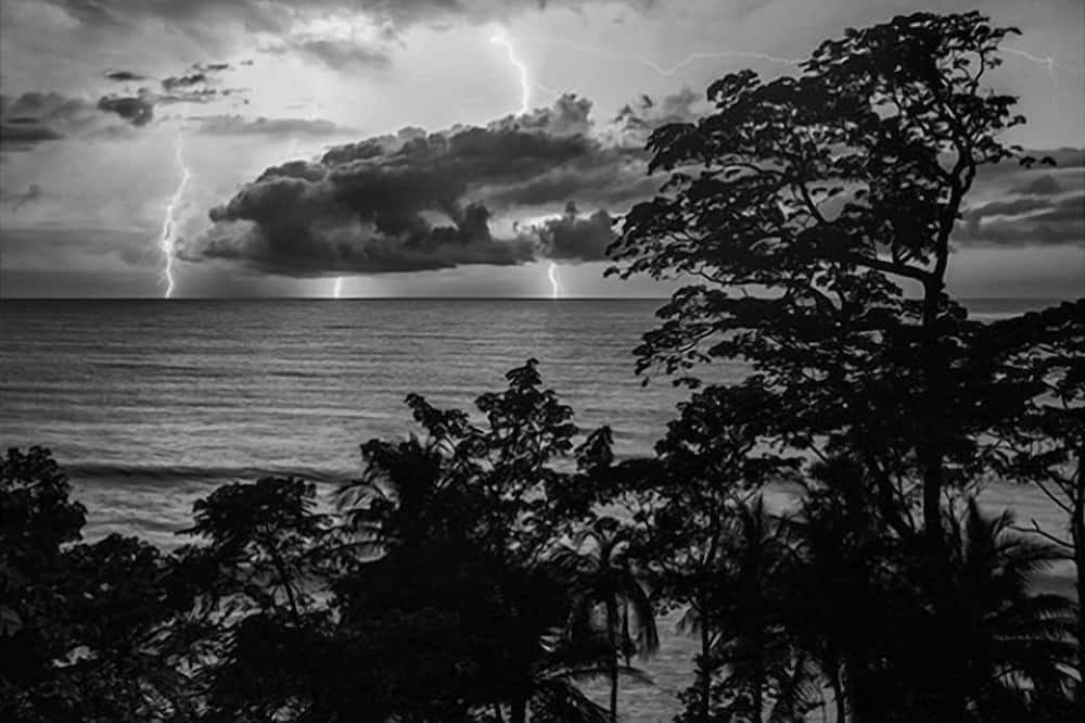 Photo of Others in Cabo Matapalo