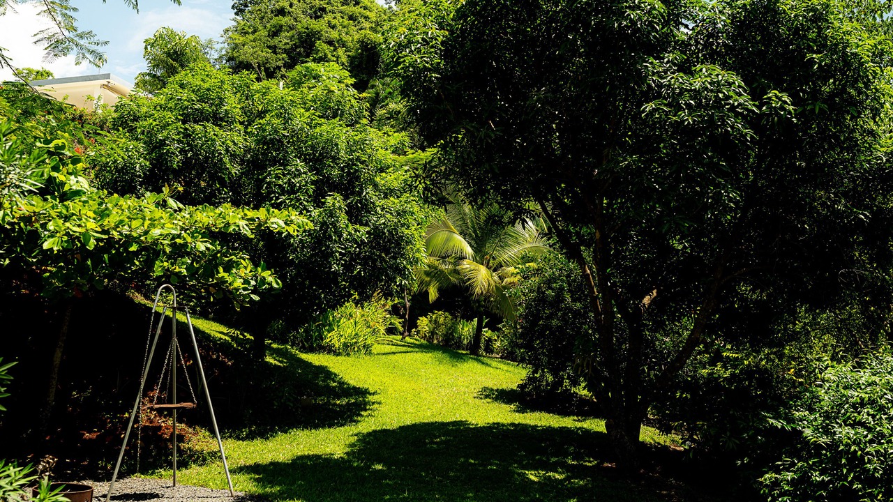 Photo of Outdoor in Bejuco