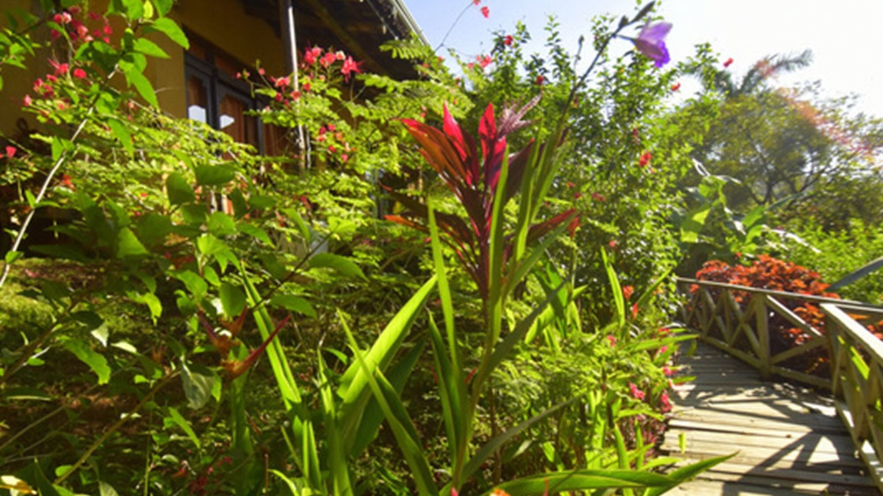 Photo of Outdoor in Ostional