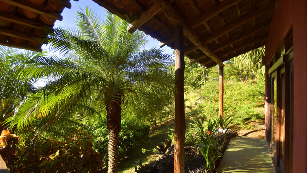 Photo of Outdoor in Ostional