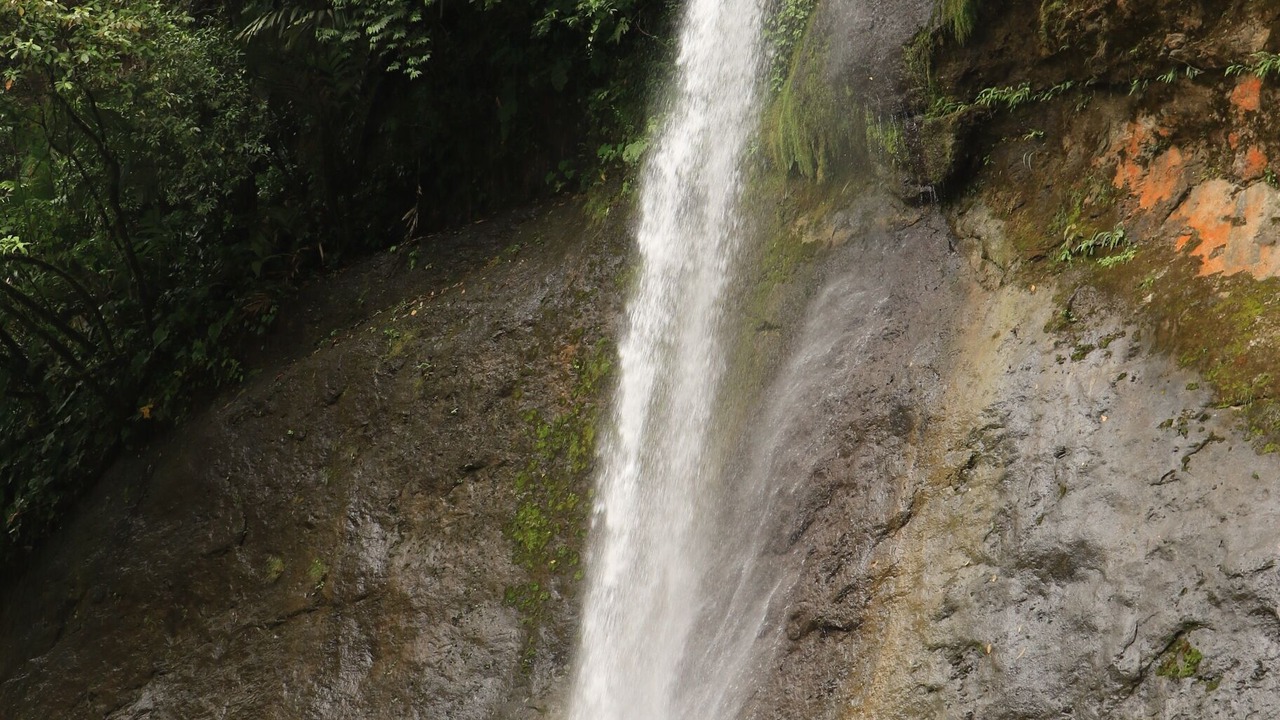 Photo of Others in Turrialba