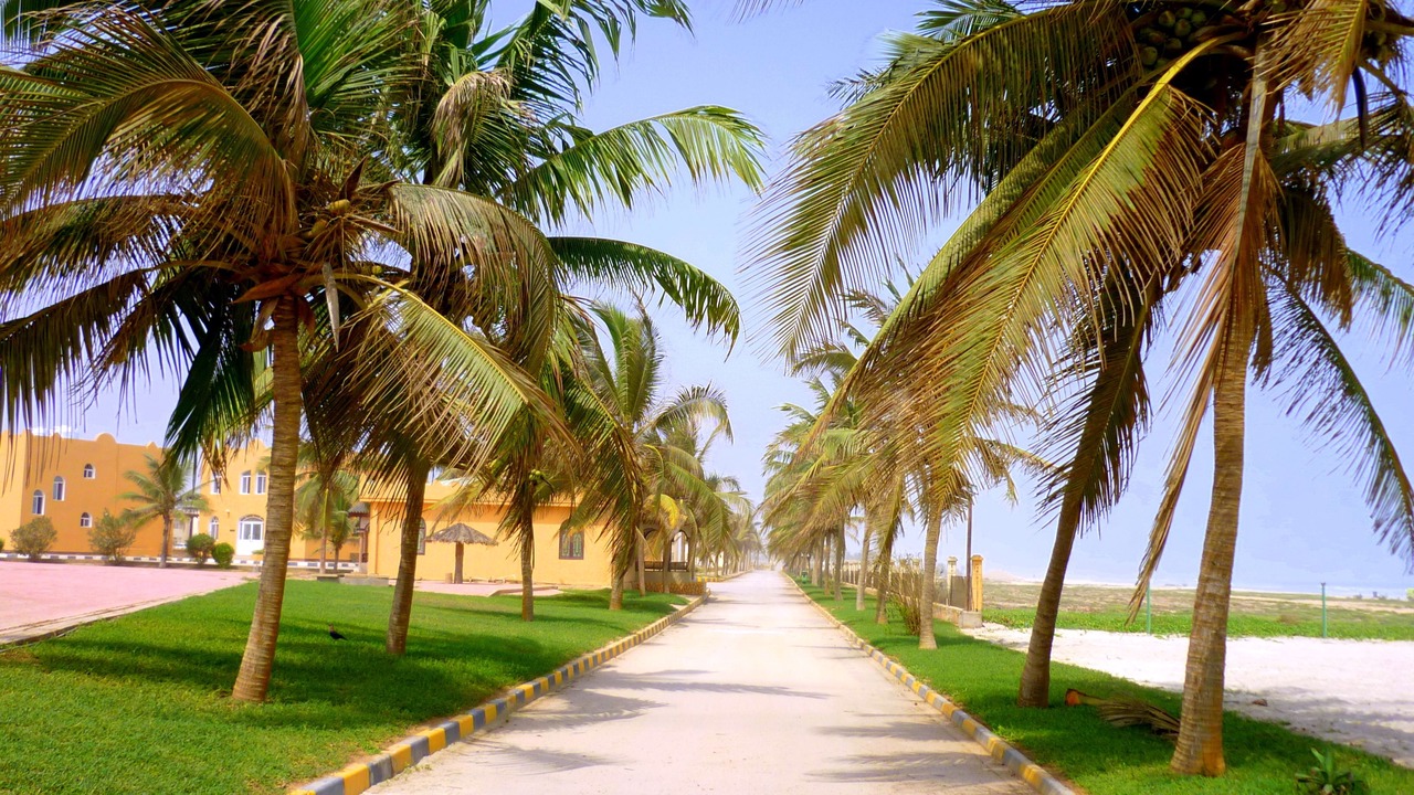 Photo of Outdoor in Salalah