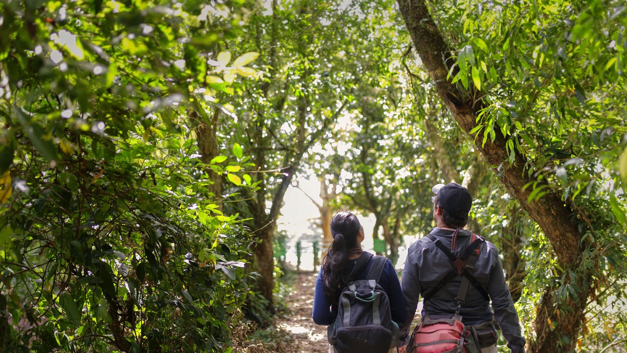 Photo of Outdoor in Cano Negro