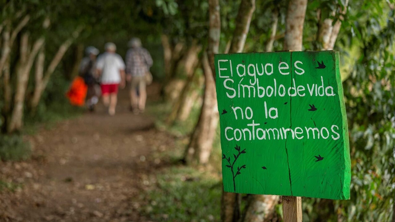 Photo of Outdoor in Cano Negro