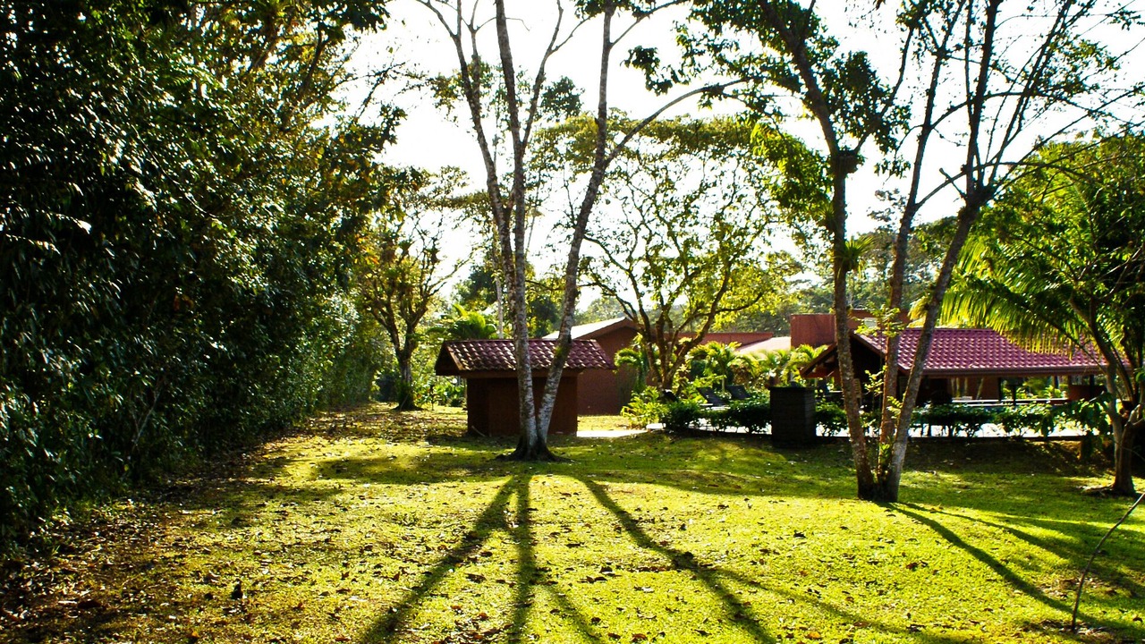 Photo of Outdoor in Cano Negro