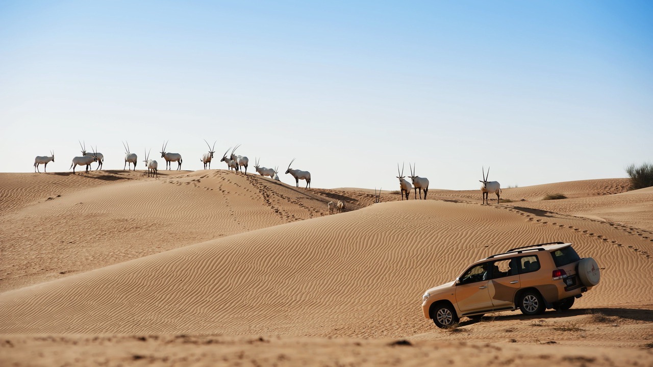 Photo of Others in Murqquab