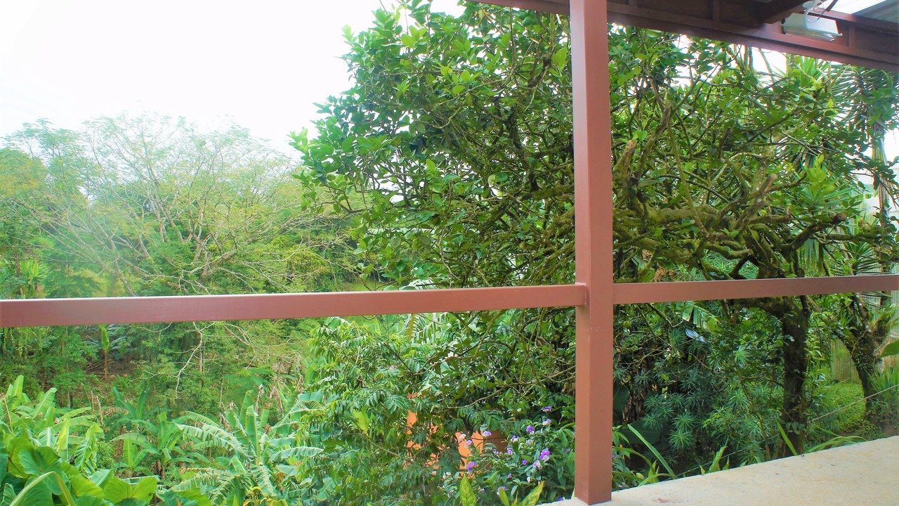 Photo of Outdoor in Arenal