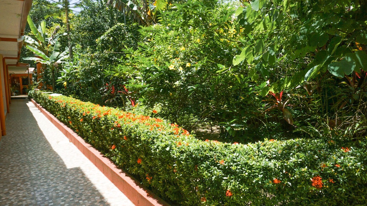 Photo of Outdoor in Esterillos Oeste