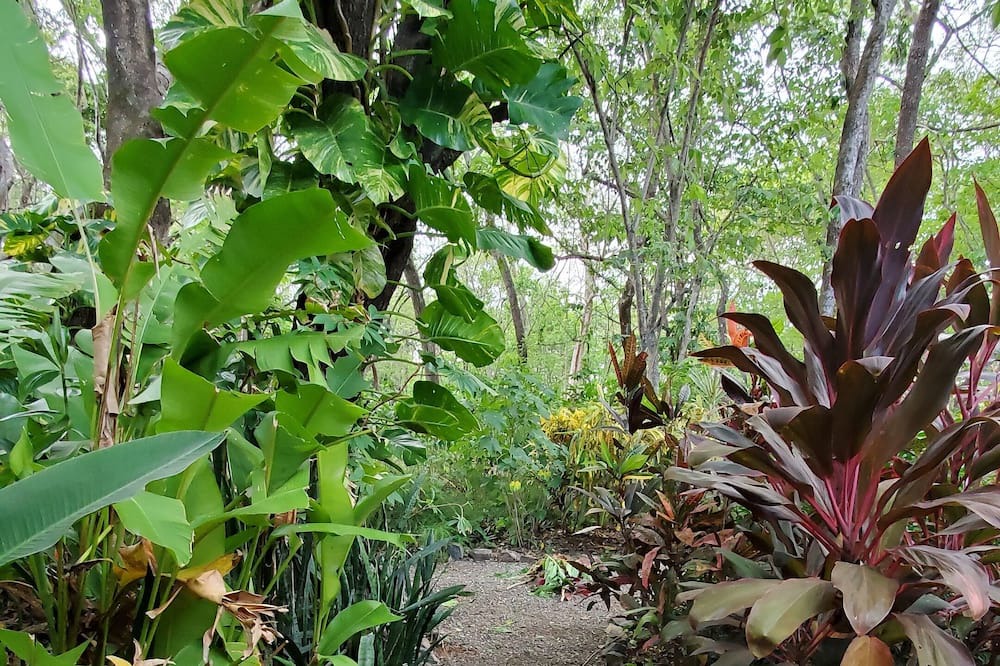 Photo of Outdoor in Junquillal