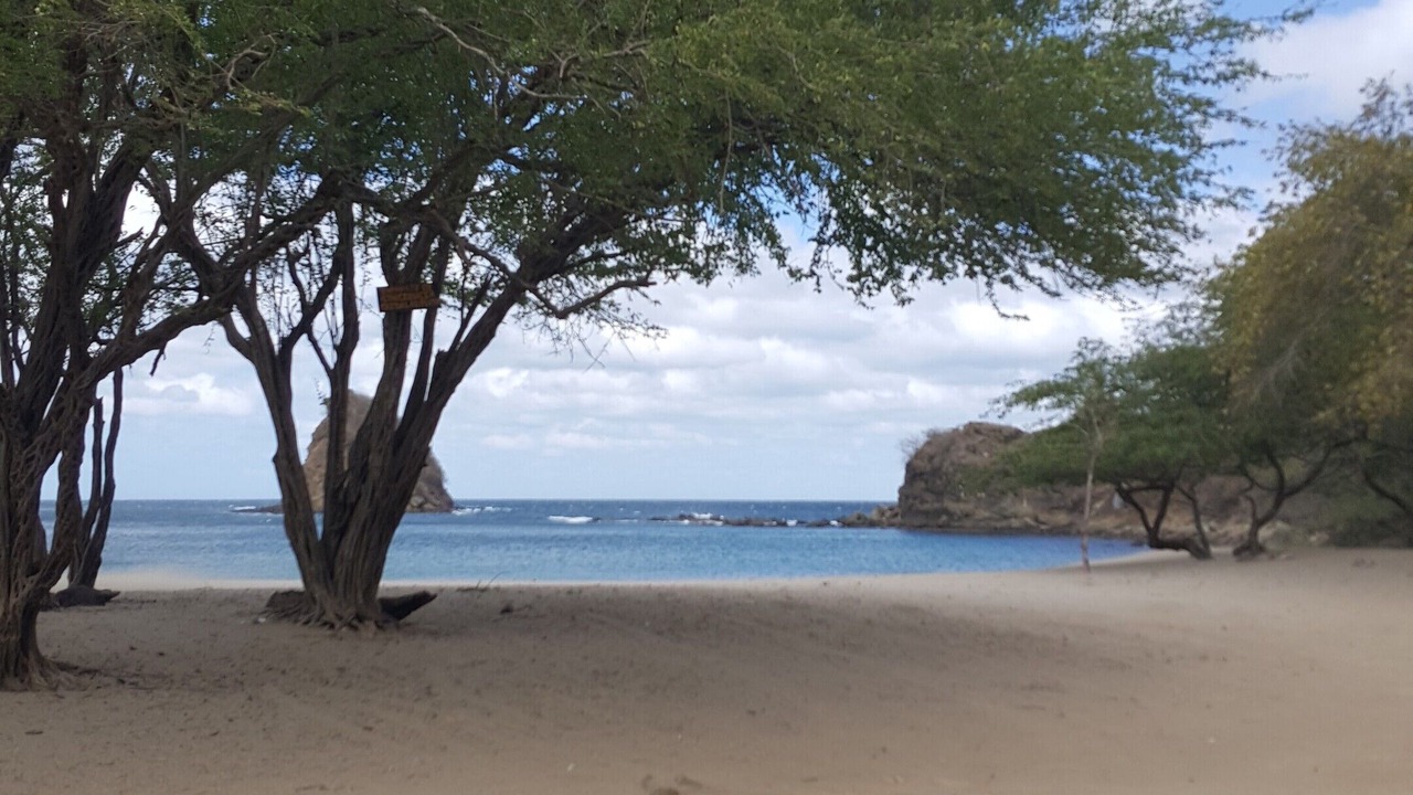 Photo of Others in La Cruz