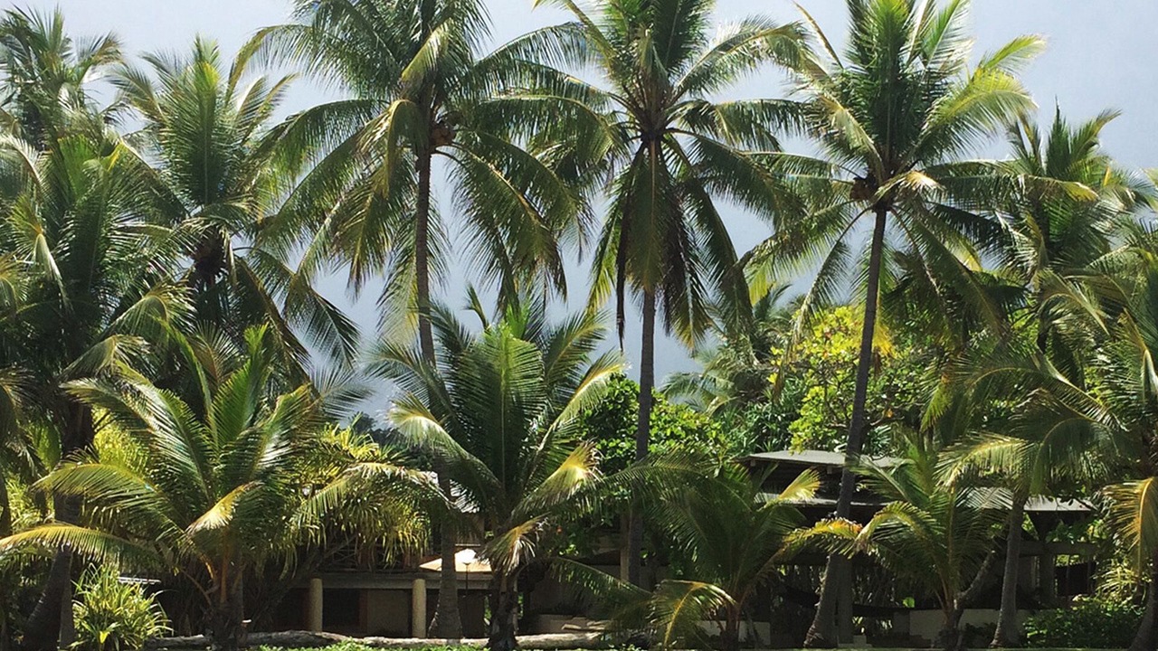 Photo of Outdoor in Playa San Miguel