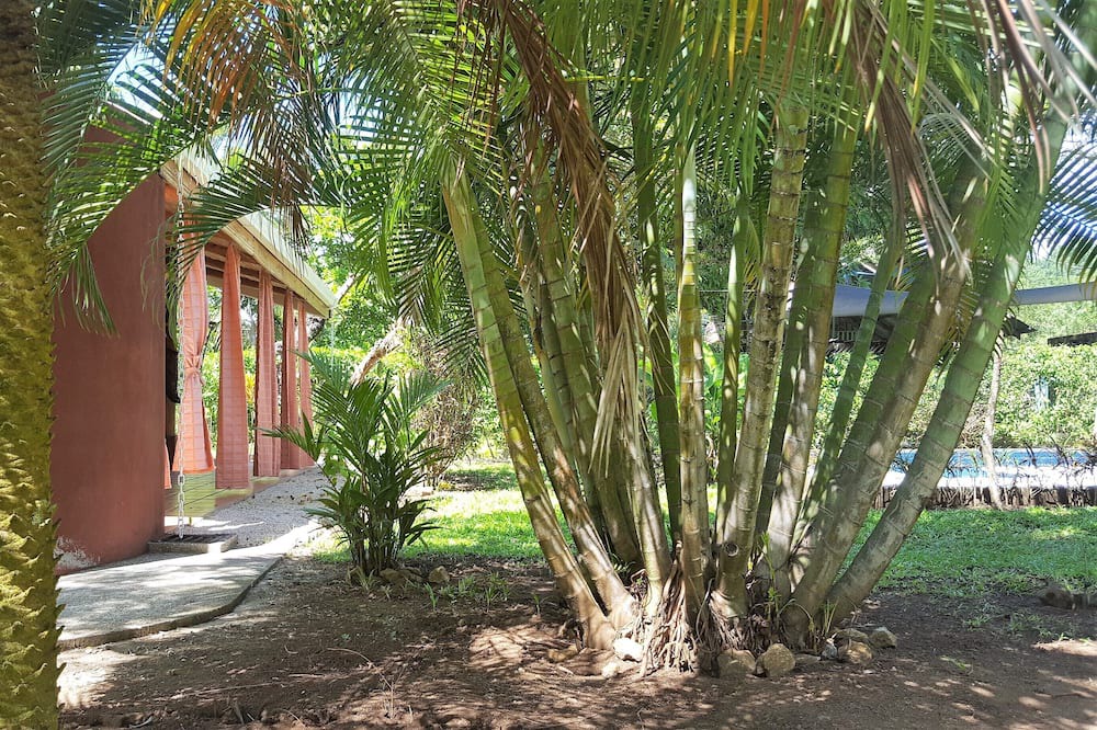 Photo of Outdoor in Playa Coyote