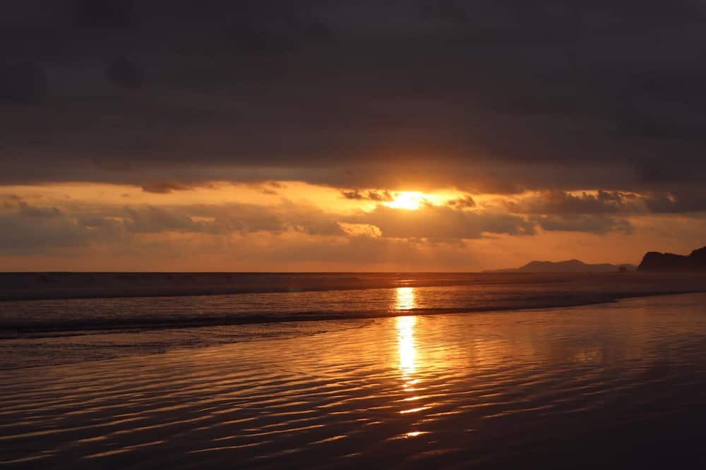 Photo of Others in Playa Coyote