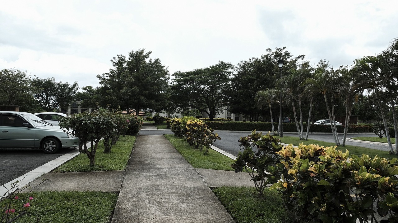 Photo of Outdoor in Liberia