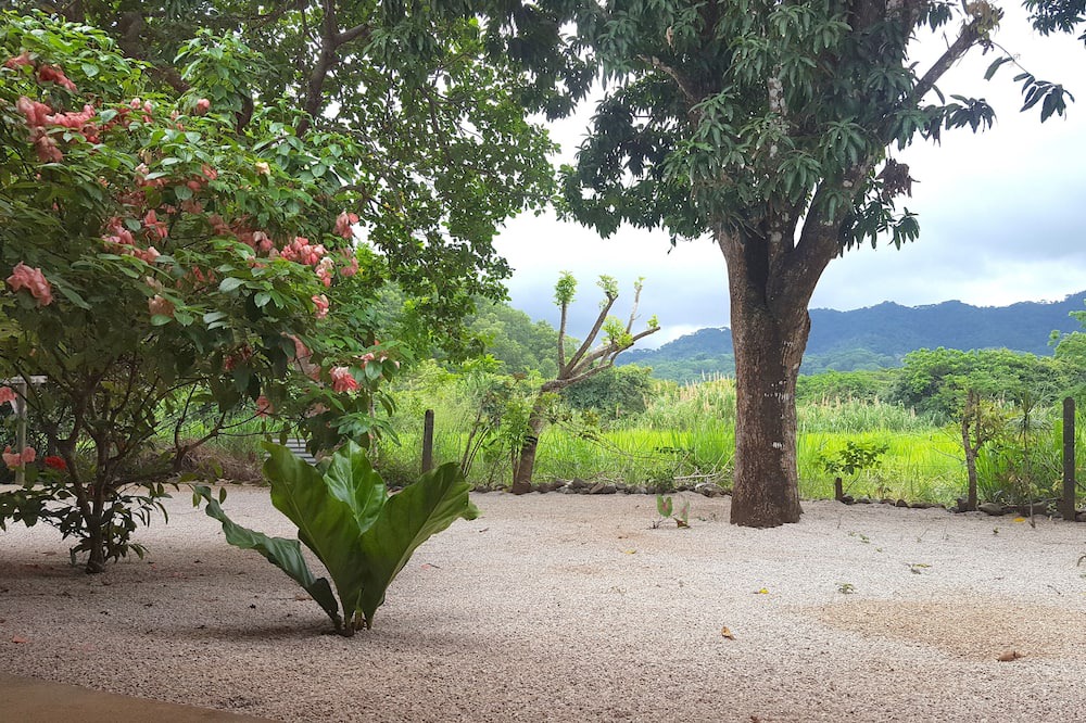 Photo of Outdoor in Playa Coyote