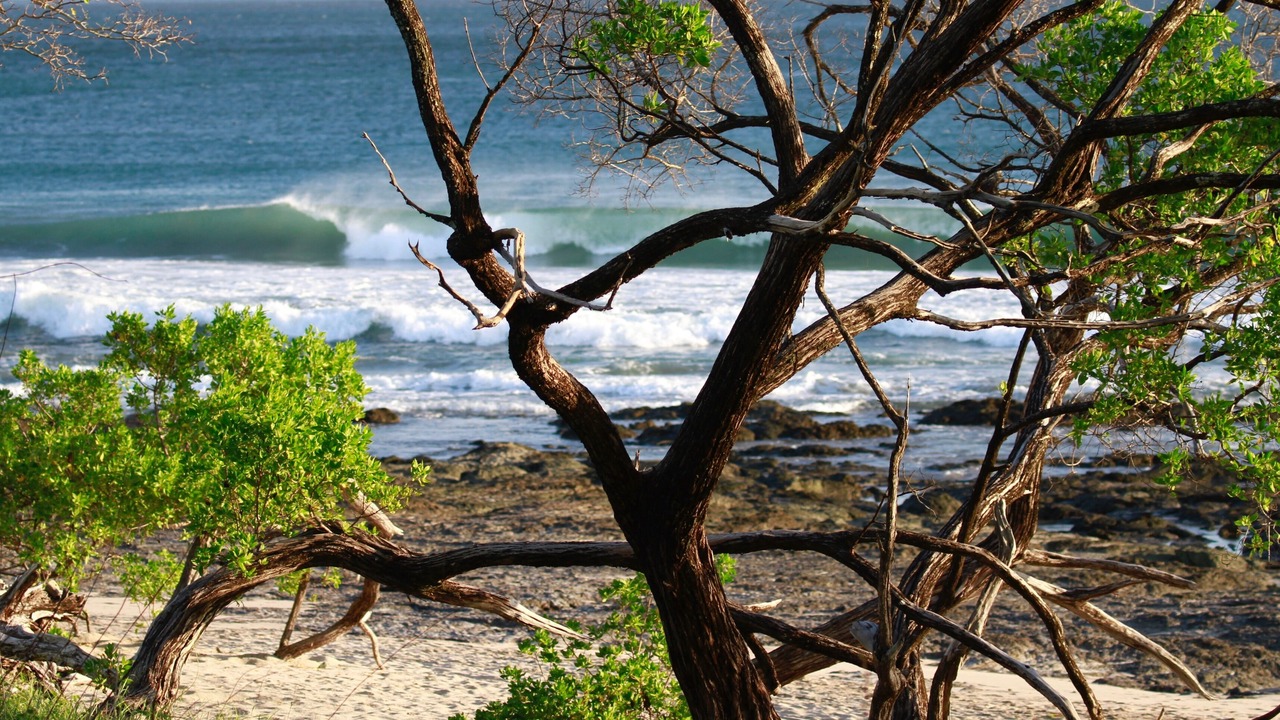 Photo of Outdoor in Playa Negra
