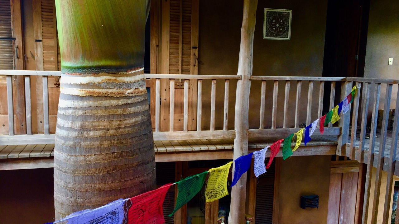 Photo of Outdoor in Playa Negra