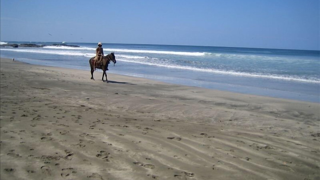 Photo of Others in Playa Negra