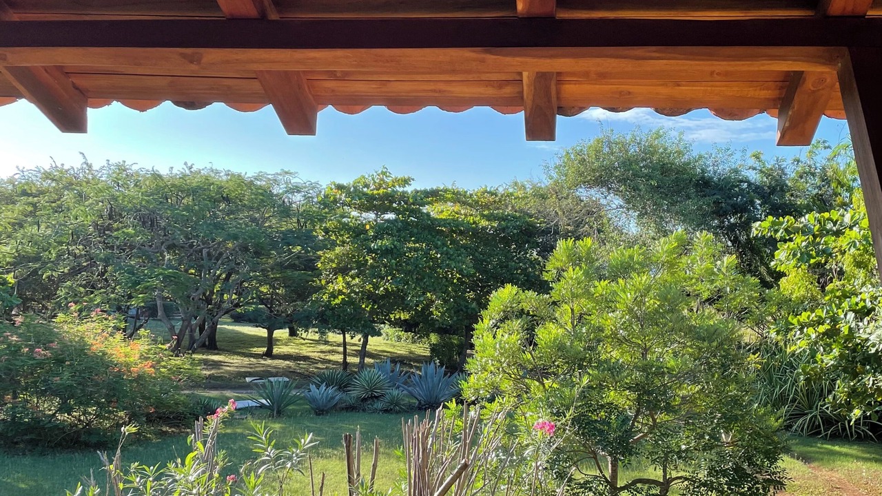 Photo of Outdoor in Playa Negra