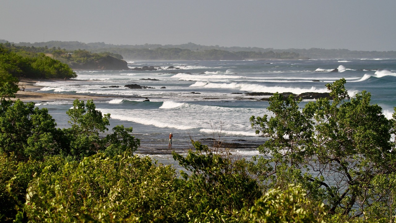 Photo of Others in Playa Negra