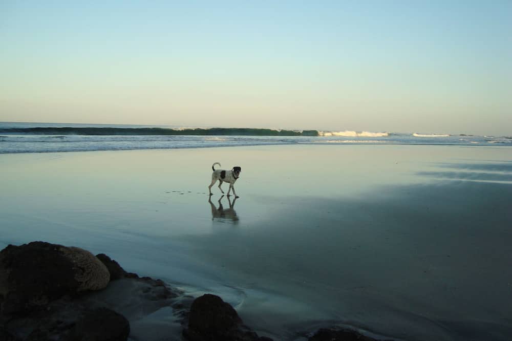 Photo of Others in Playa Negra