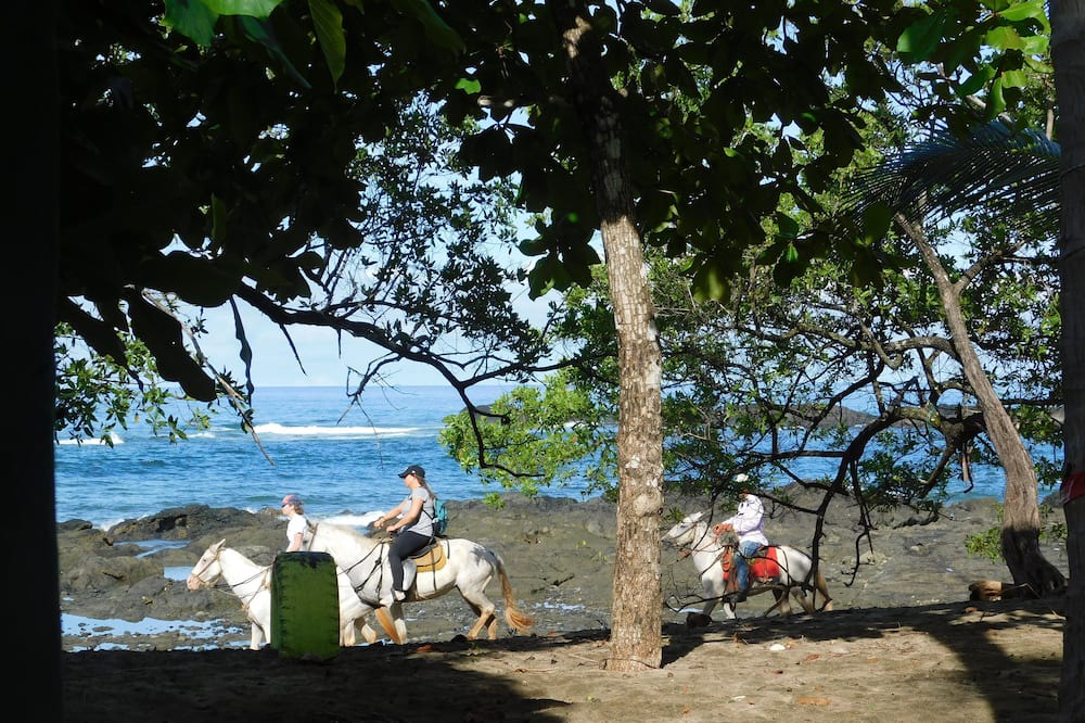 Photo of Others in Playa Negra