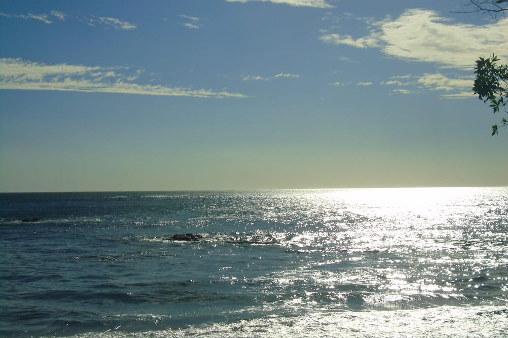 Photo of Others in Playa Negra