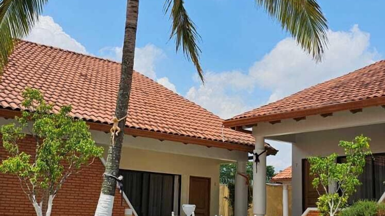 Photo of Outdoor in Ciudad Cariari
