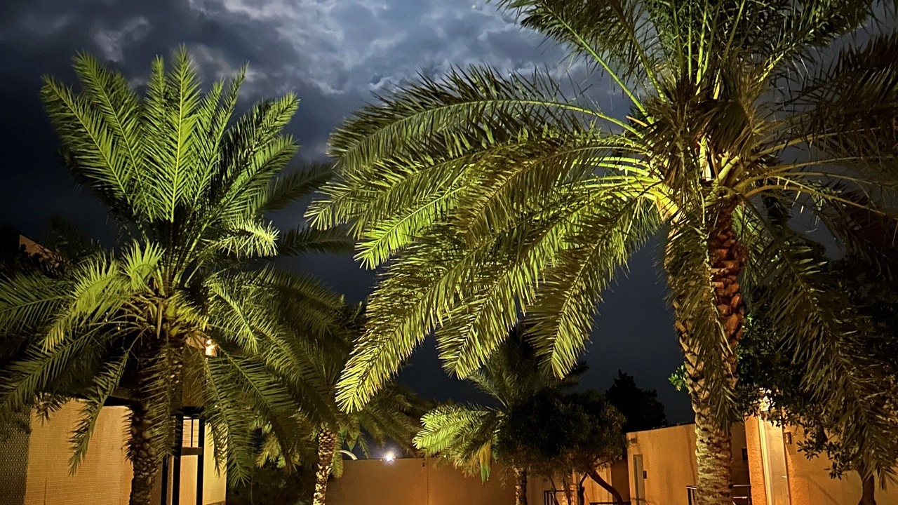 Photo of Outdoor in Al Hamra