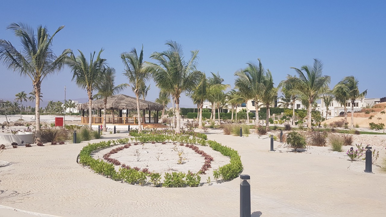 Photo of Outdoor in Salalah